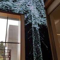 LED tree