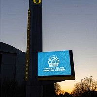 Matthew Knight Arena