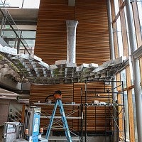 Installation in progress