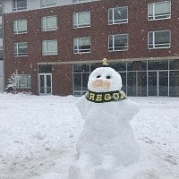 A snow person