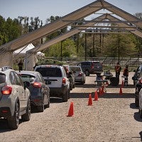 Cars in line