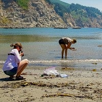 Beach scene